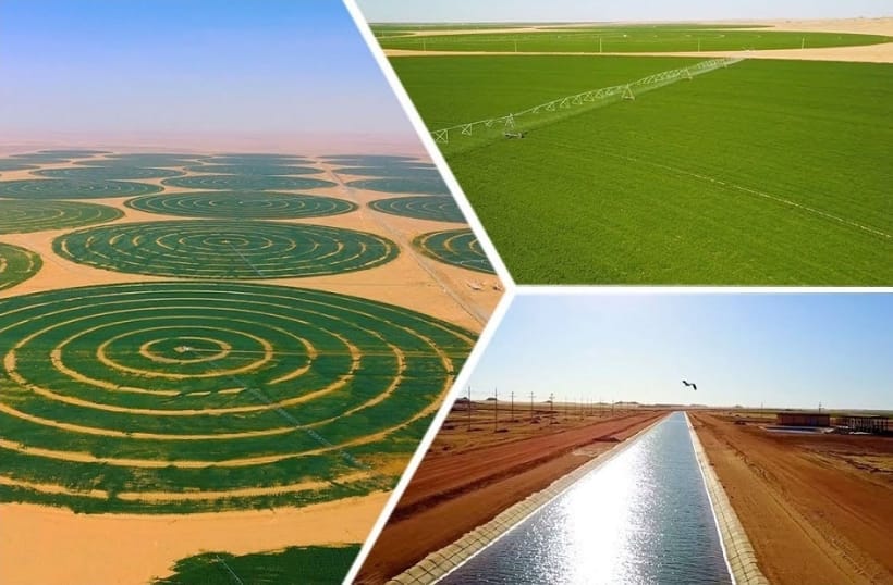 عيد الفلاح في مصر: من ذاكرة النضال إلى ركيزة التنمية المستدامة والأمن الغذائي