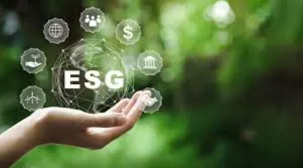 ESG Screening: A Strategic Approach to Sustainability and Green