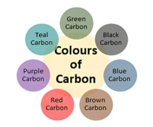 الكربون وألوانه: فهم جديد لخفض البصمة الكربونية وتعزيز التنمية المستدامة