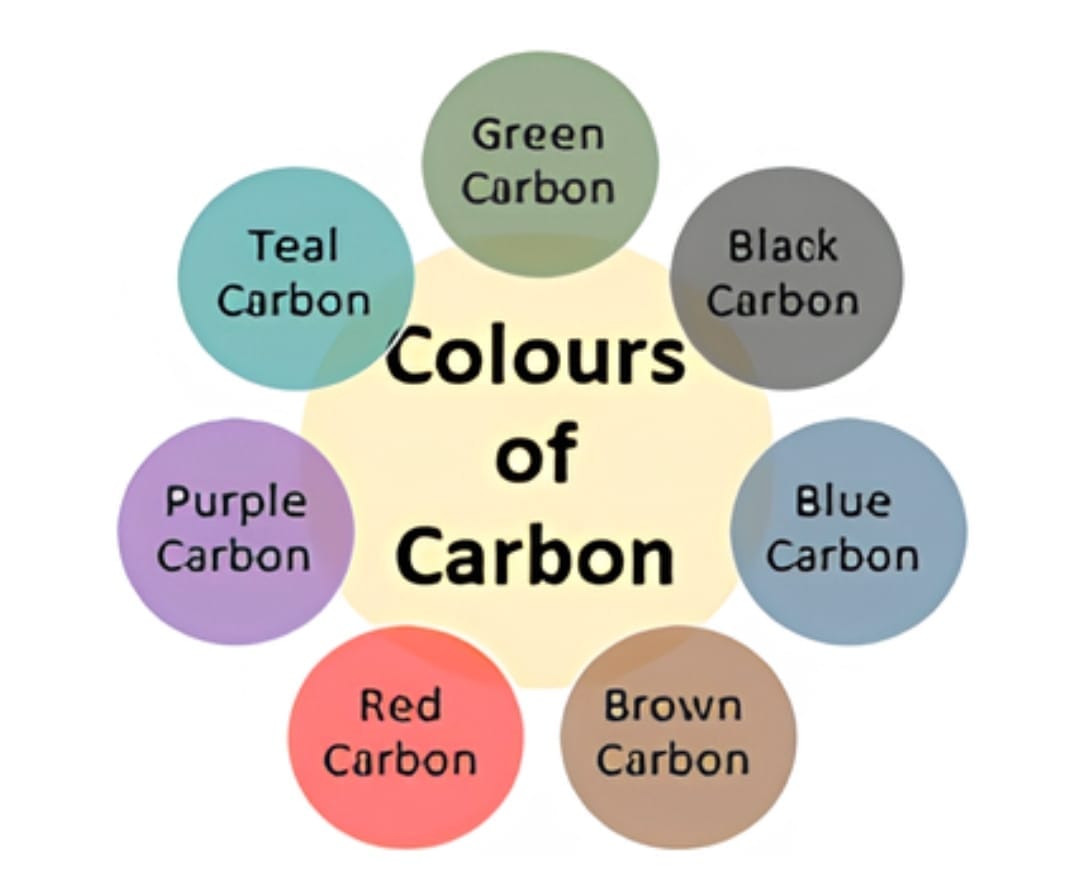 الكربون وألوانه: فهم جديد لخفض البصمة الكربونية وتعزيز التنمية المستدامة