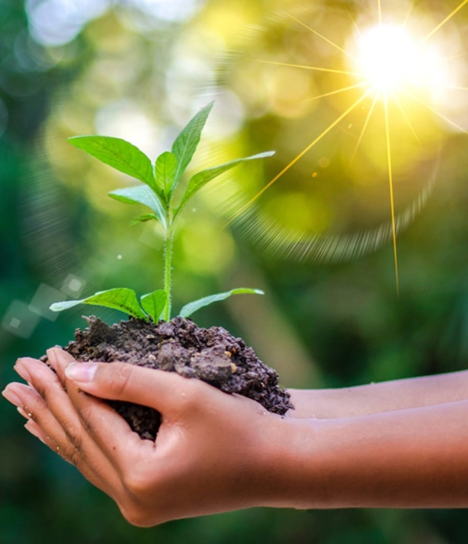 تقيم الاثر البيئي و القرار التنموي