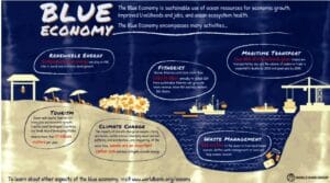 التغير المناخي وتحولات الاقتصاد نحو الاستدامة والاقتصاد الأزرق والأخضر