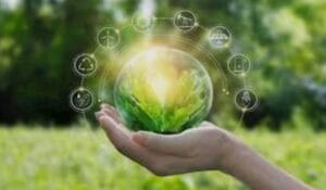 سوق الكربون الطوعي في مصر ودور شهادات خفض الانبعاثات في دعم الاقتصاد الأخضر